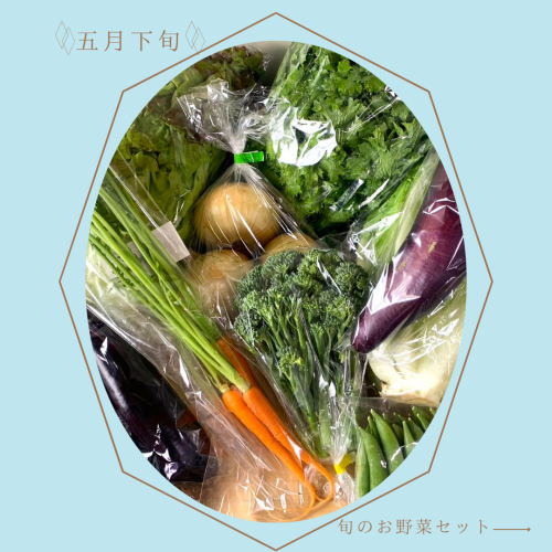 作品紹介 ハンドメイド ピンク アクセサリー シンプル Instagram投稿 (1).png