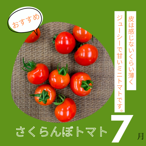グリーン 黒 シンプル 秋アパレル 商品紹介 Instagram投稿 (6).png