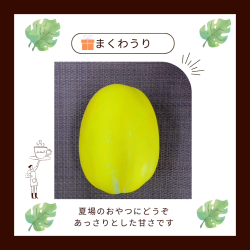 作品紹介 ハンドメイド ピンク アクセサリー シンプル Instagram投稿 (2).png