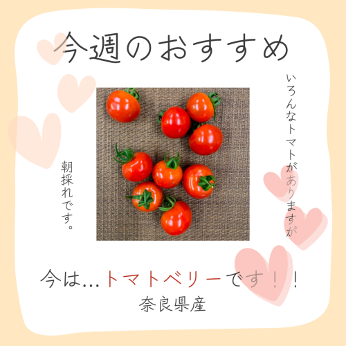 おすすめ.png
