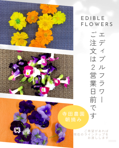 エディブルフラワー 入荷しました。.png