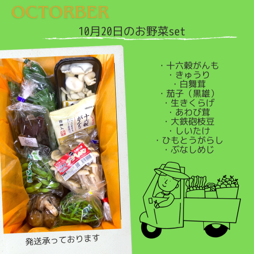 野菜セット10.png
