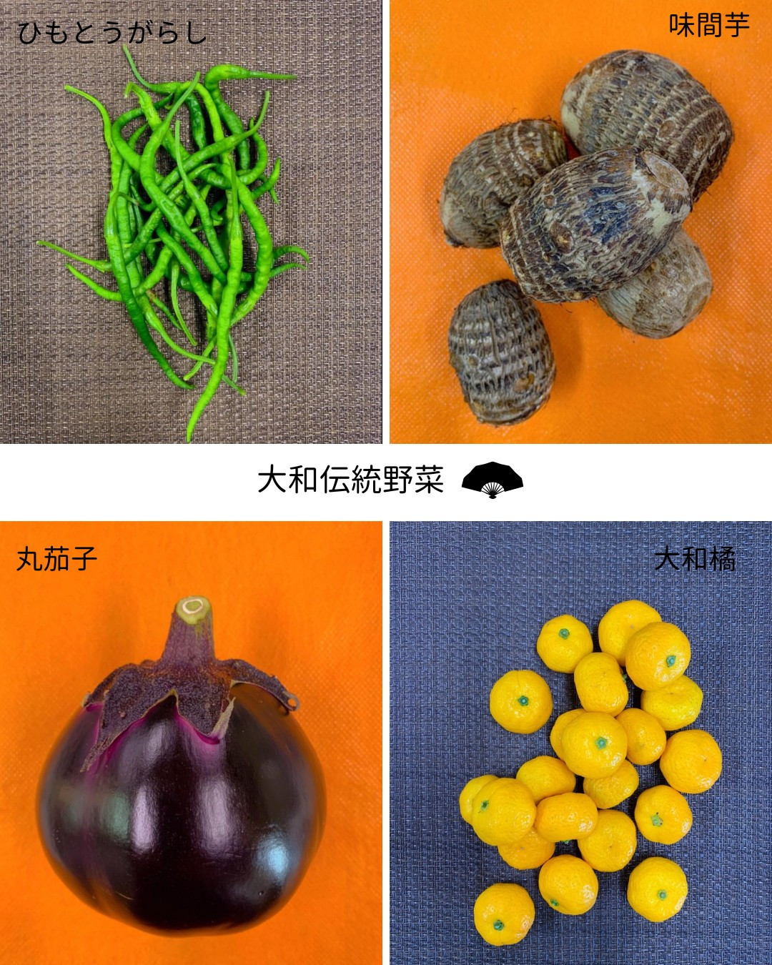 大和伝統野菜