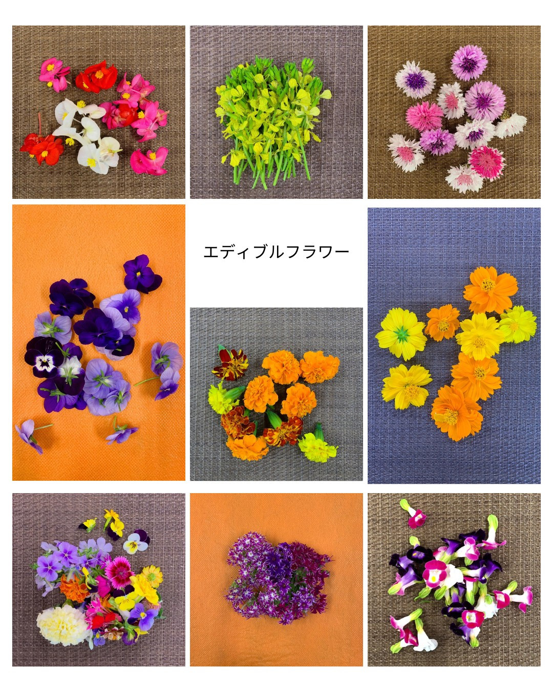 エディブルフラワー