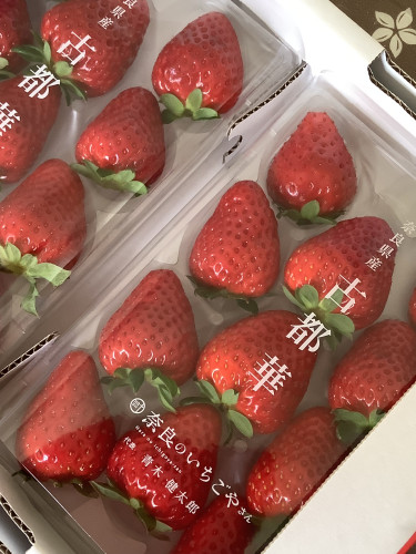 古都華(DX).jpg