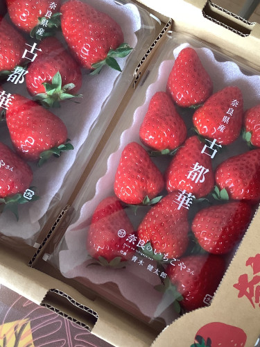 古都華(平パック).jpg