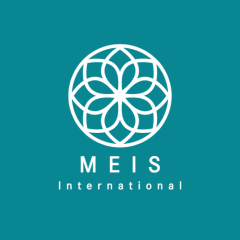 MEIS INTERNATIONAL