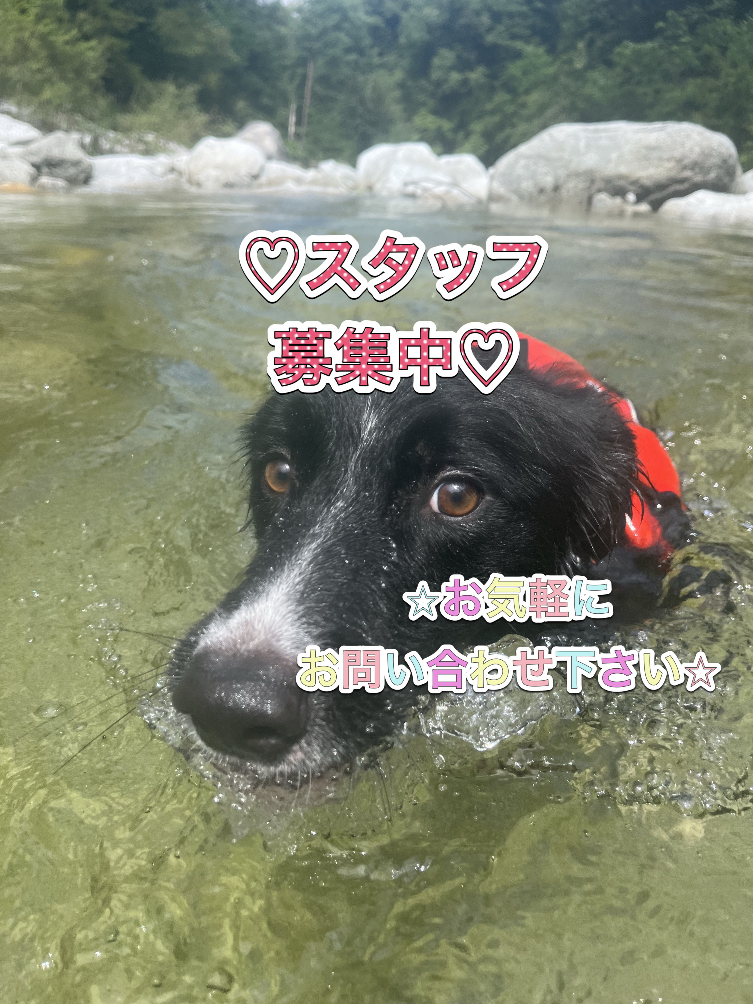 STAFF募集！！