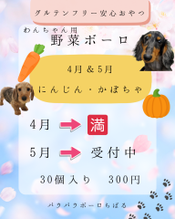 日本サロネーゼ協会 - 1.png