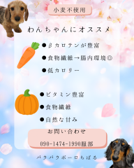 日本サロネーゼ協会 - 5.png
