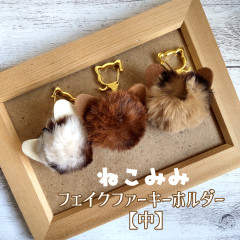 猫耳　中　TOP.jpg