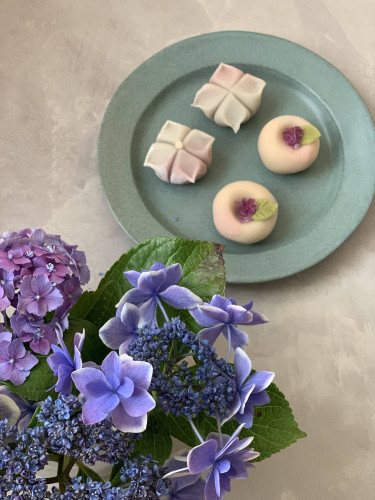 2025年6月の予定