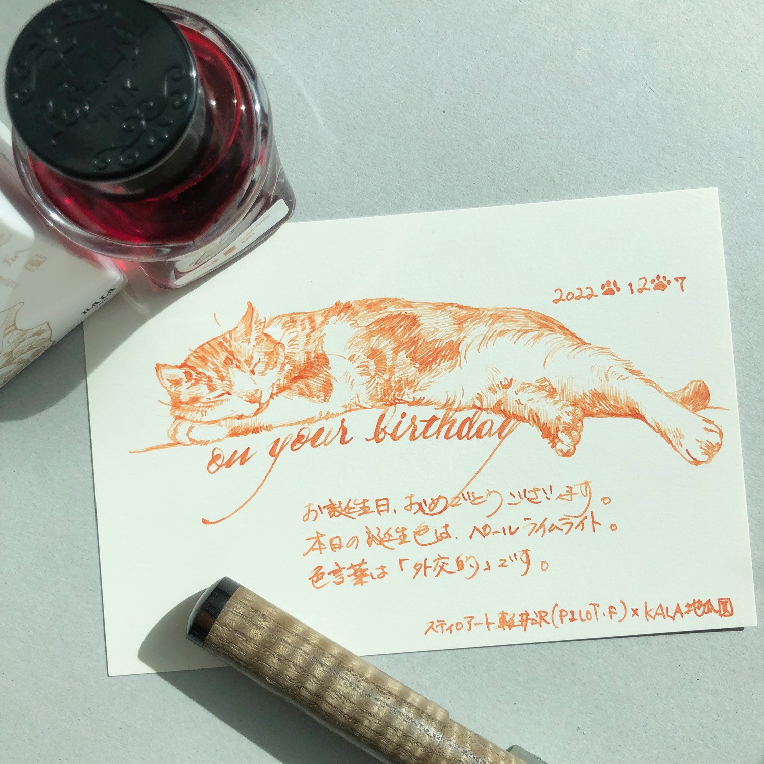 OYB221207ねこIMG_6273.jpg