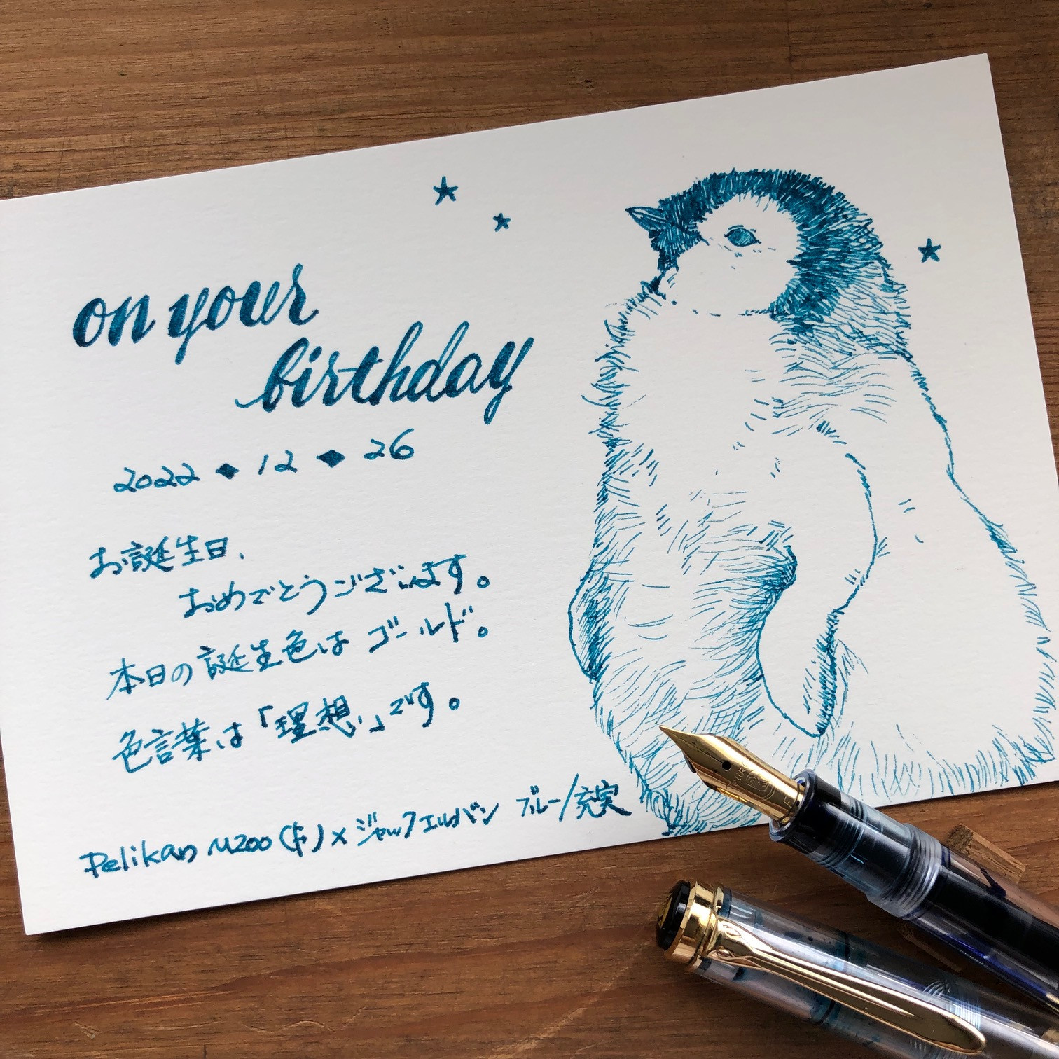 OYB221226コウテイペンギンのヒナIMG_6784.jpg