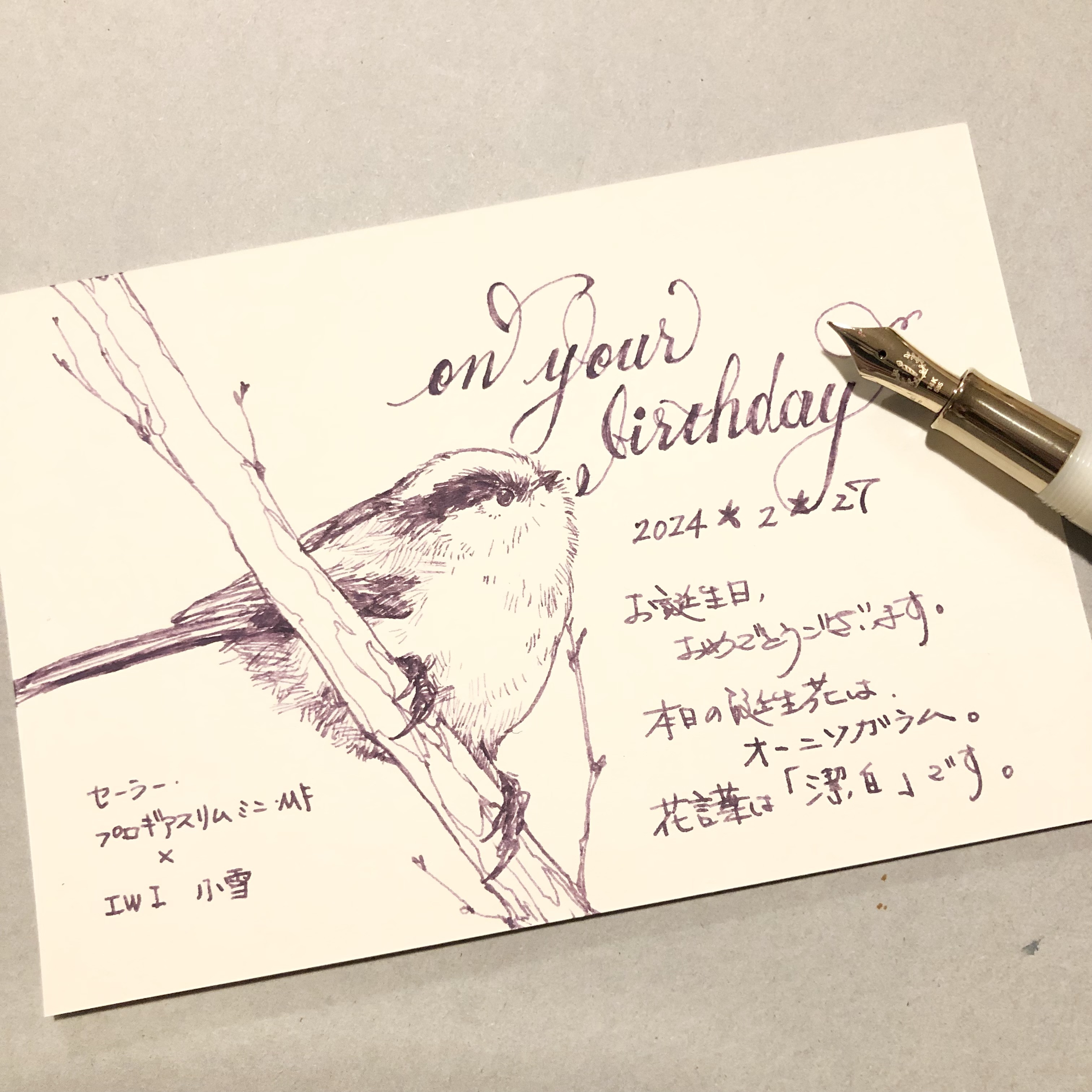 OYB240227エナガIMG_1695.jpg