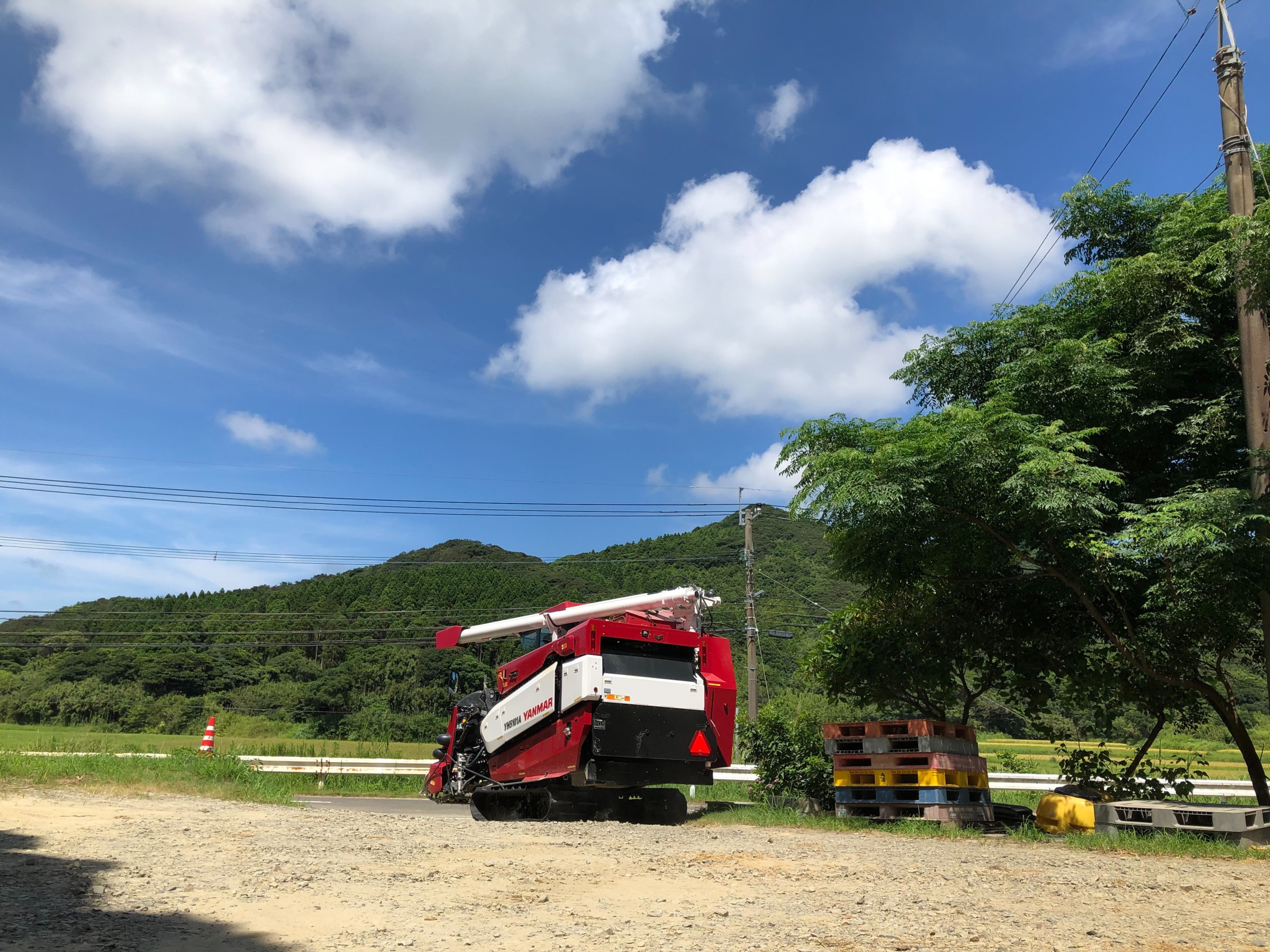 鹿児島県 種子島産米 （株）こめこめアイランド