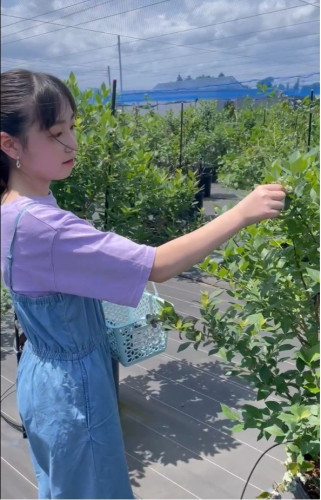 いちかちゃん.jpg