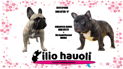 被写体-28.gif