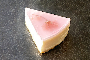 桜のレアチーズケーキ.jpg