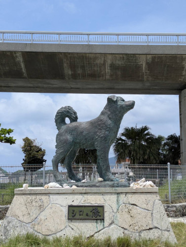 9月の休診日について