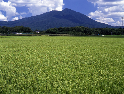 inahototukubasanl.png