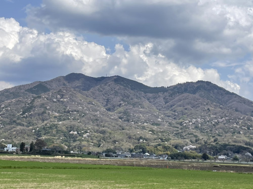 S__9838606.jpg