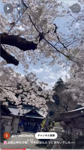 スクリーンショット 2025-04-20 23.11.07.png