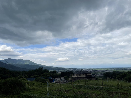 S__11649052_0.jpg