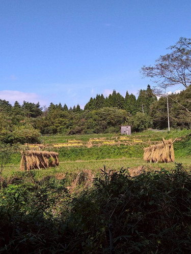 LINE_ALBUM_25.10456東北ツアー_251006_13.jpg