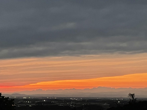 S__522256392_0.jpg