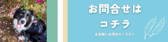 お問合せは (1).jpg