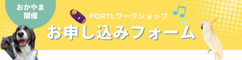 エントリーフォーム　Googleフォーム　青　黄緑　グラデーション　幾何学　.jpg