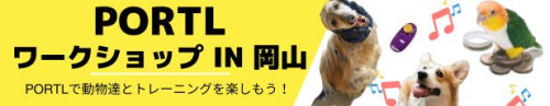 黄　青　シンプル　オープン開店　楽天 バナーのコピー.jpg