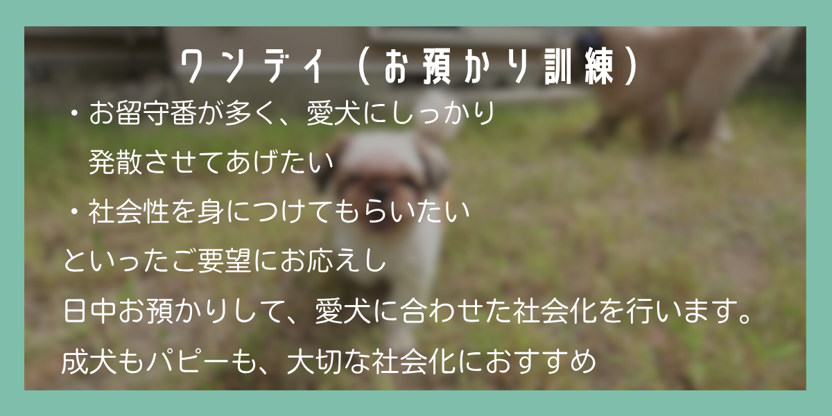 トップｰデイケア.png