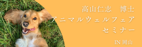 緑　白　シンプル　野菜　商品発送　メールバナー (1).png