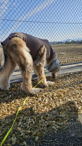 トレーニング・ひろっぱなど受付け再開しています！