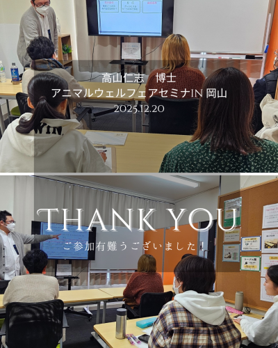 白 グレー シンプル エレガント サンクスページ Instagramの投稿_20251226_173813_0000.png