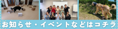 お問合せはのコピー.png