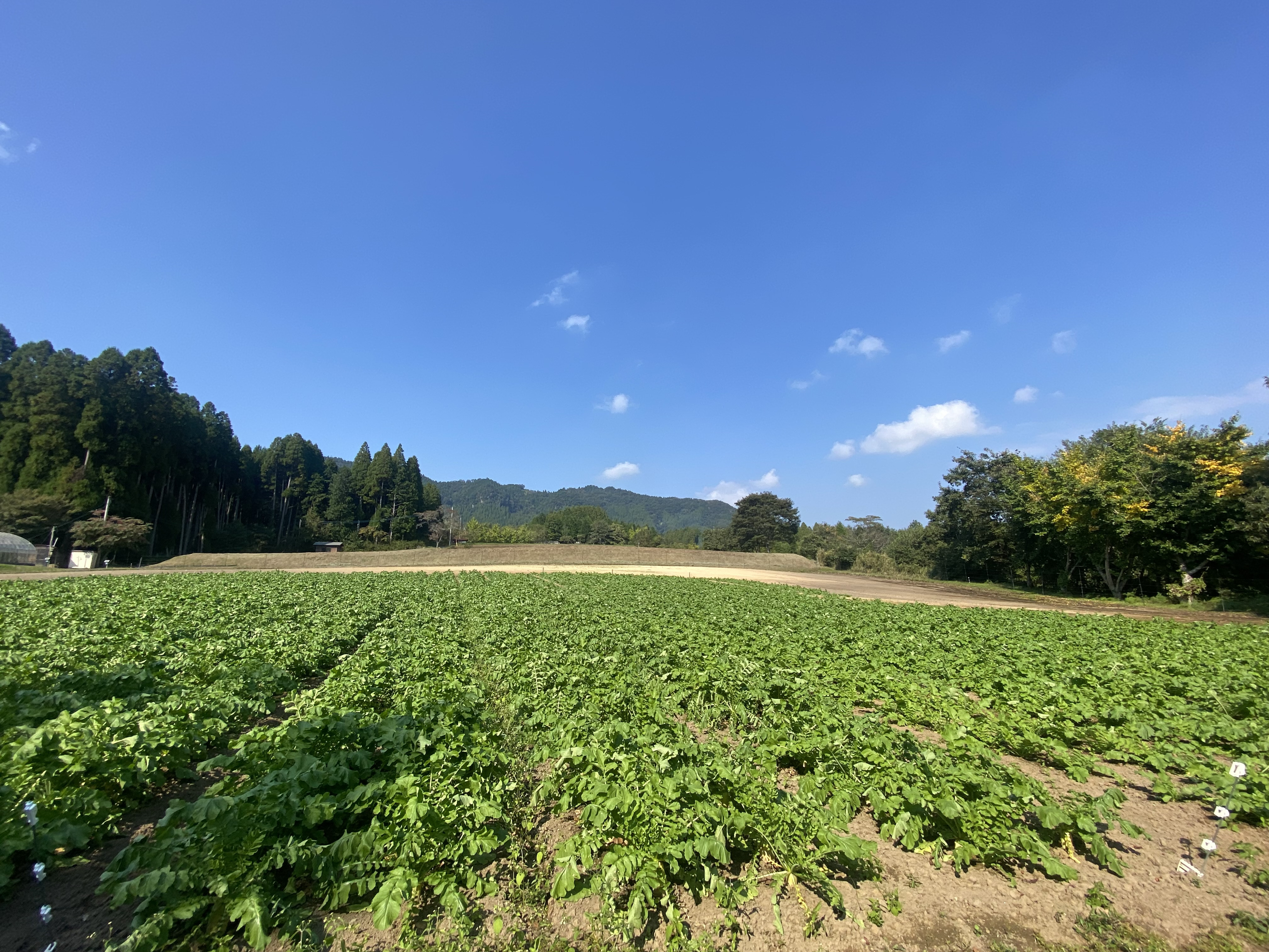 農家さんと飲食店などをつなぐ取り組み！