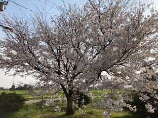 新入生の皆さん　入社を楽しみにお待ちしています。
