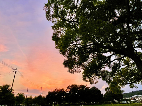 つぶやき＆メッセージ更新