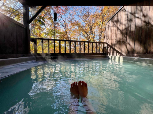 つぶやき＆メッセージ更新