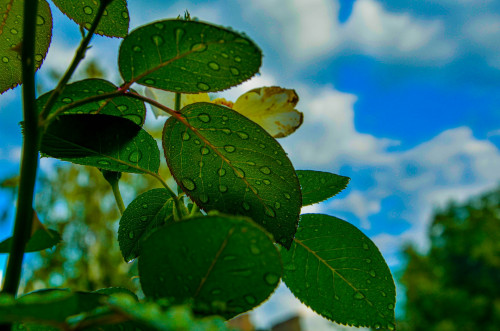 つぶやき＆メッセージ更新