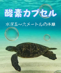水深五〜六メートルの体験.jpg