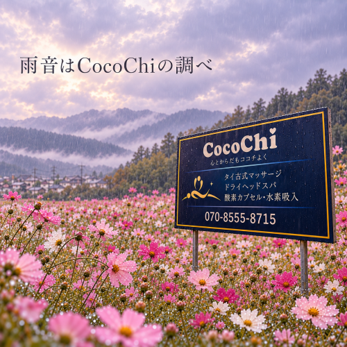 雨音はCocoChiの調べ☔️