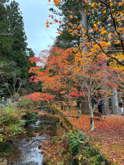 高野山１.jpg