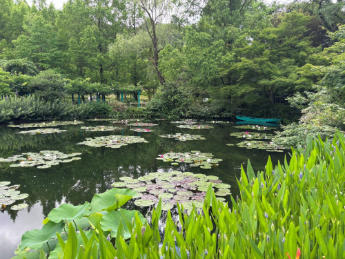 水連.jpg