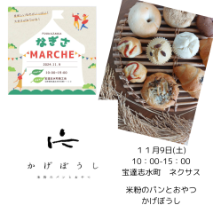 インスタ かげぼうし.png