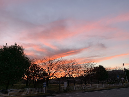 公園　夕焼け.jpg