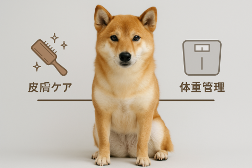 犬のフード選びの落とし穴 ─ 皮膚ケアと体重管理はなぜ両立しにくいのか？